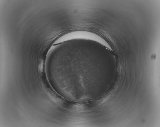 X0000089920076200707201827