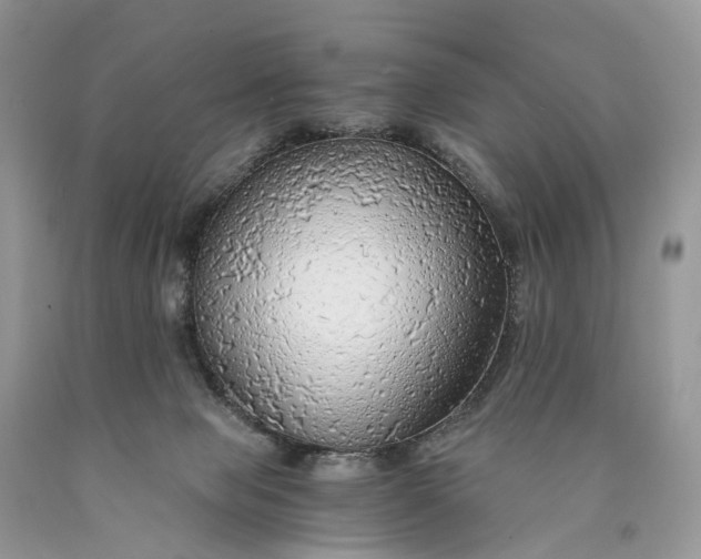 X0000089920077200707201827