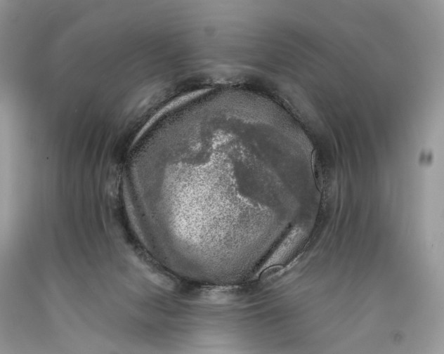 X0000089920078200707201827