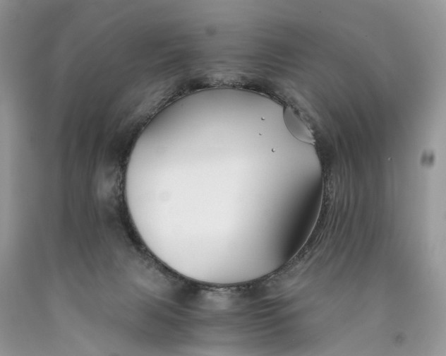 X0000089920079200707201827