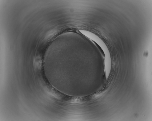 X0000089920080200707201827