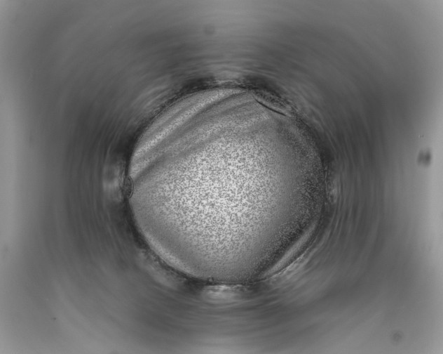 X0000089920082200707201827