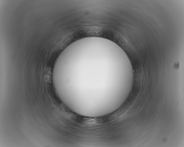 X0000089920083200707201827