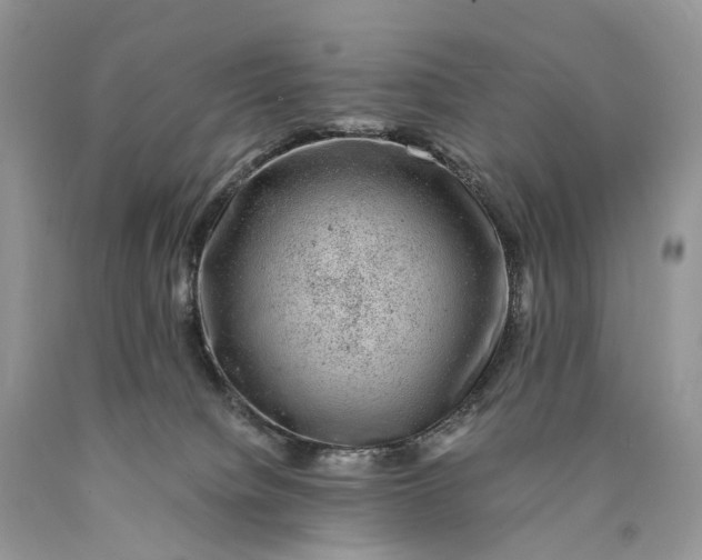 X0000089920084200707201827