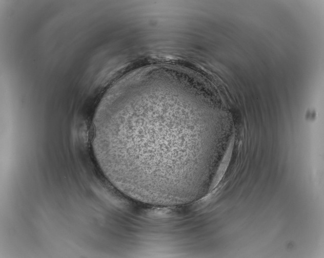 X0000089920086200707201827