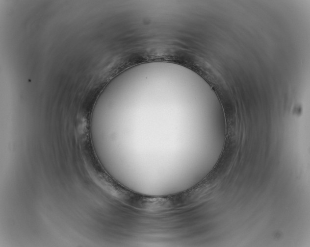 X0000089920087200707201827