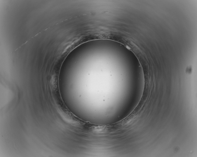 X0000089920088200707201827