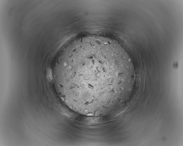 X0000089920089200707201827