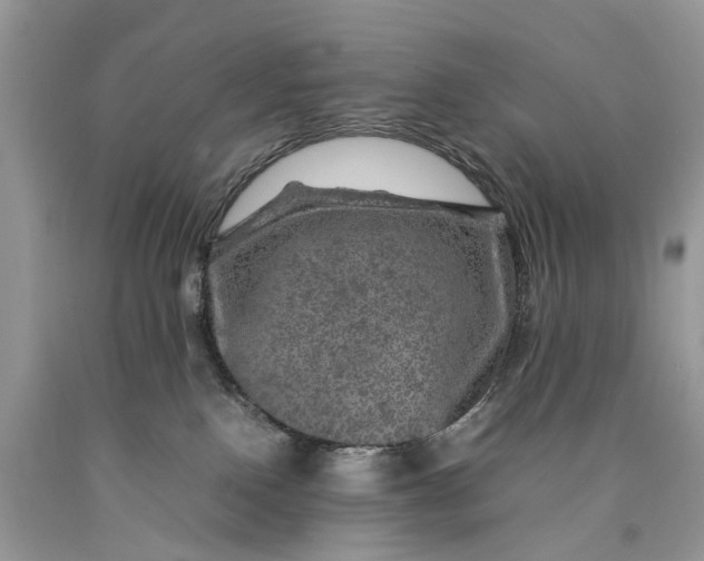 X0000089920090200707201827