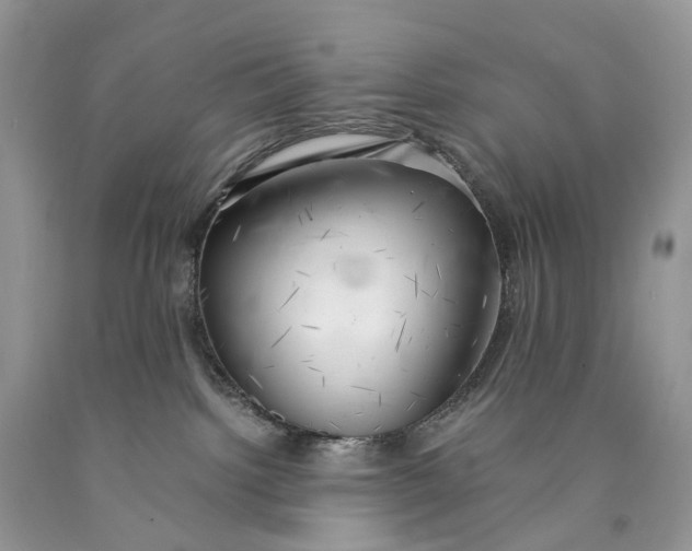 X0000089920092200707201828