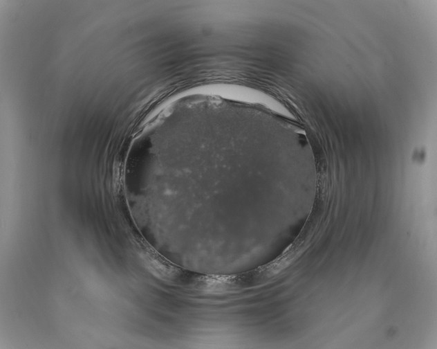 X0000089920093200707201828