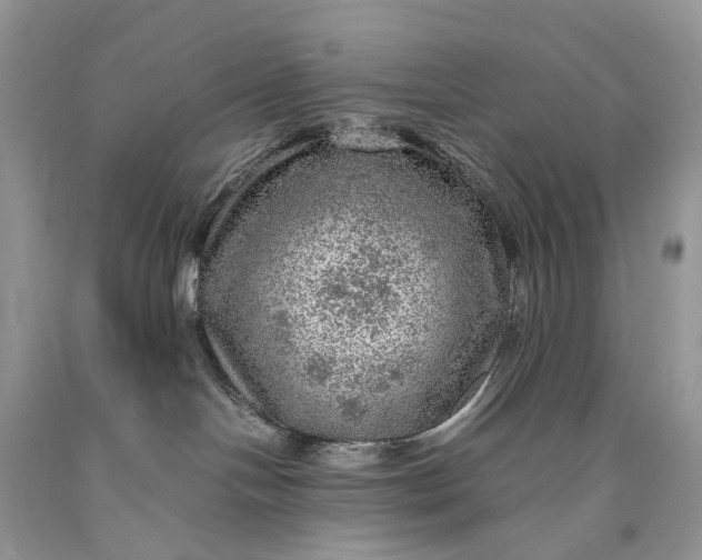 X0000089920094200707201828