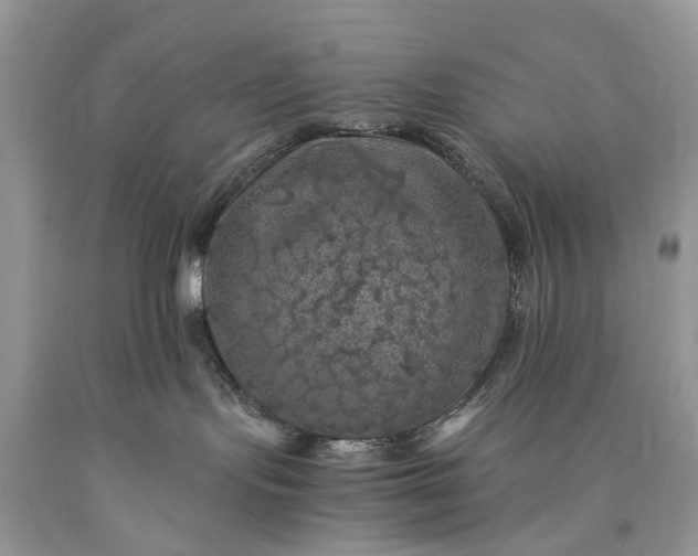 X0000089920095200707201828