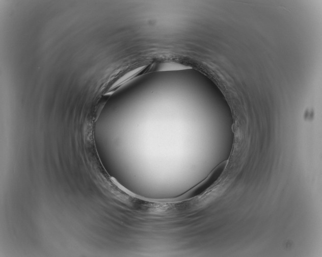 X0000089920096200707201828