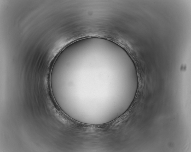 X0000089920098200707201827