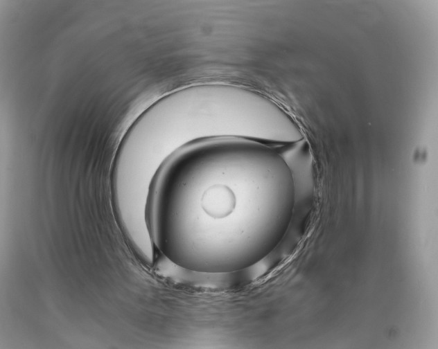 X0000089920099200707201827