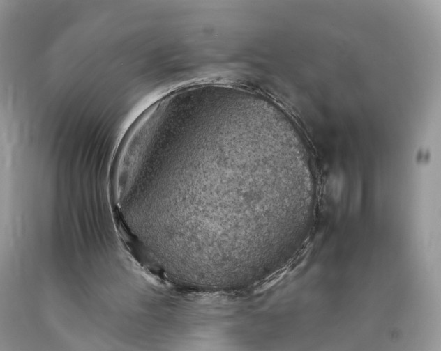 X0000089920100200707201827