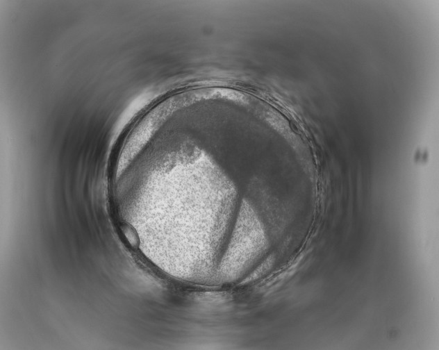 X0000089920102200707201827