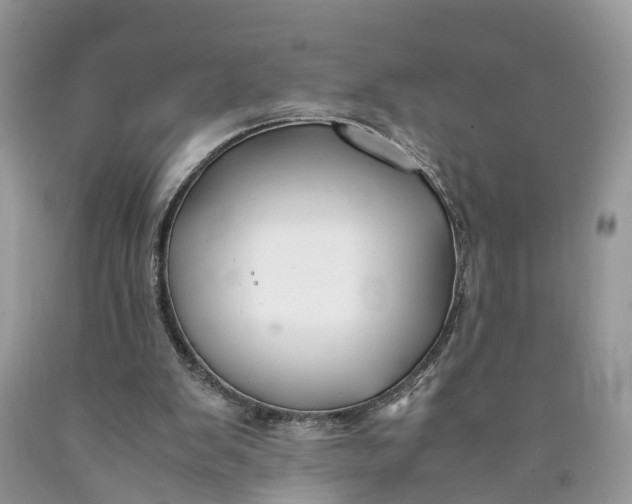 X0000089920103200707201827