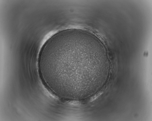 X0000089920104200707201827