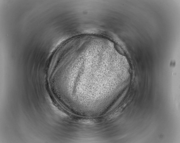 X0000089920106200707201827