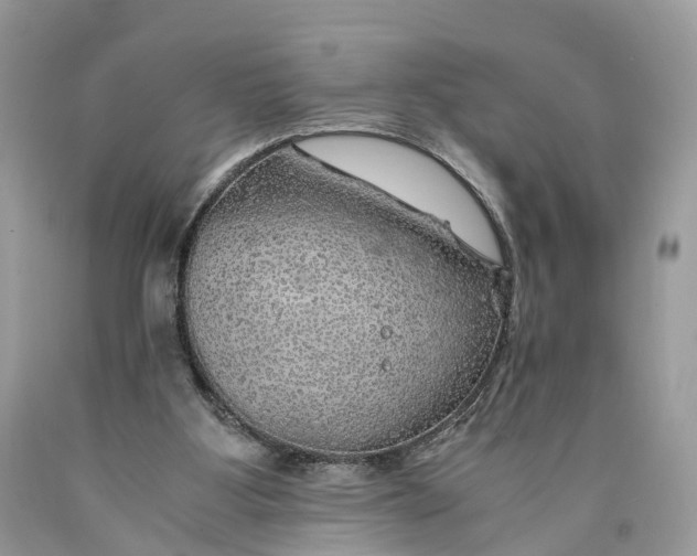 X0000089920107200707201827