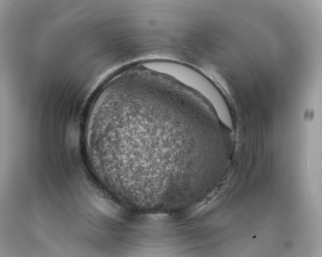 X0000089920108200707201827