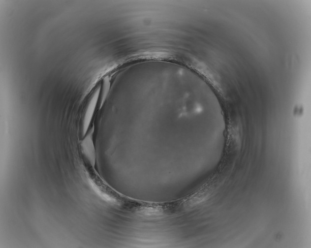 X0000089920110200707201827