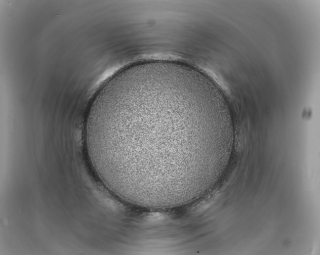 X0000089920111200707201827