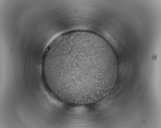 X0000089920112200707201827