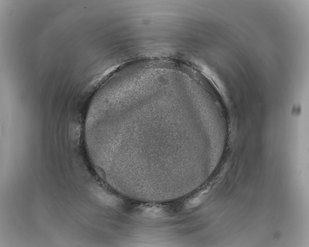 X0000089920113200707201827