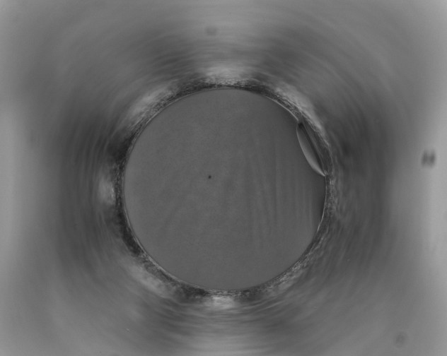 X0000089920114200707201827