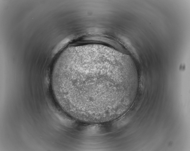 X0000089920116200707201827