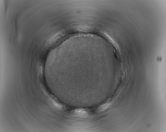 X0000089920117200707201826