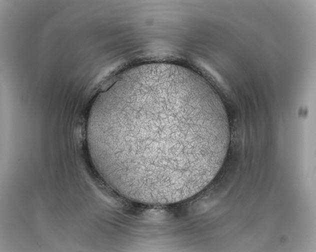 X0000089920119200707201826