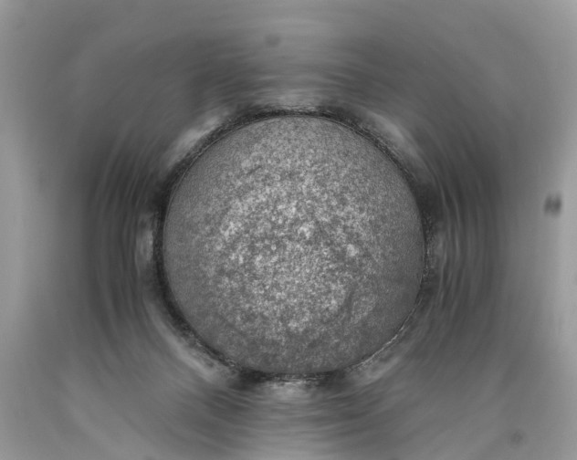 X0000089920120200707201826