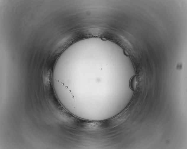 X0000089920122200707201826