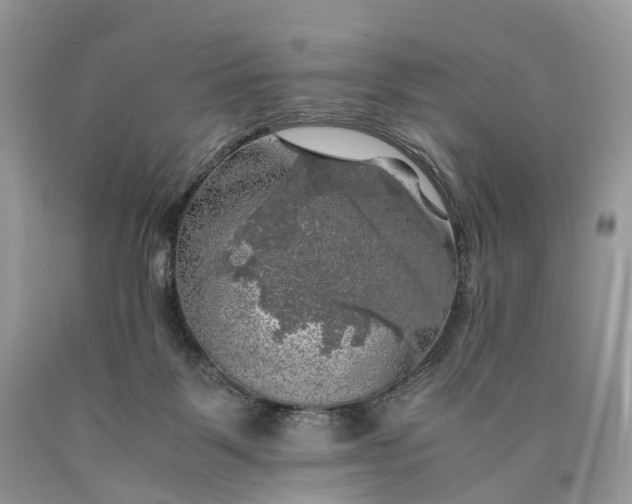 X0000089920123200707201826