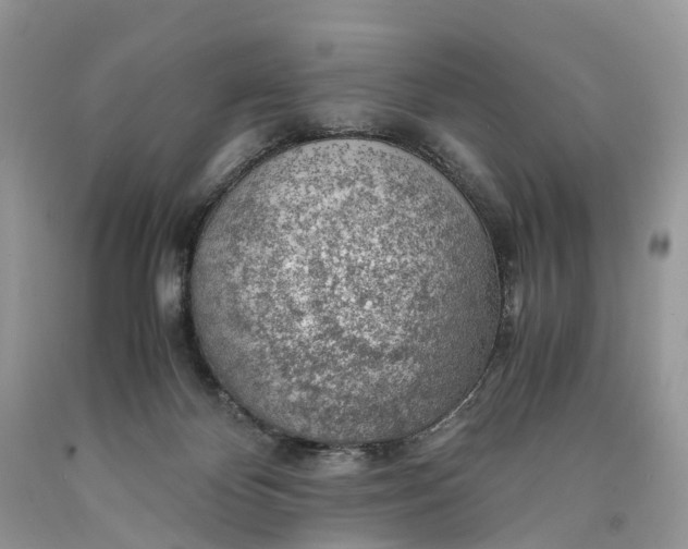 X0000089920124200707201826