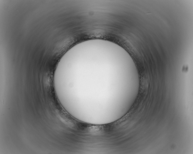 X0000089920126200707201826