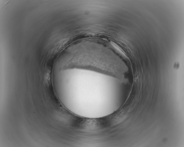 X0000089920127200707201826