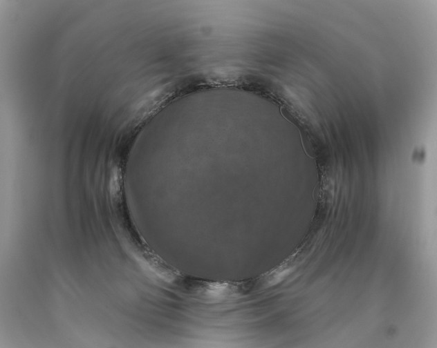 X0000089920130200707201826