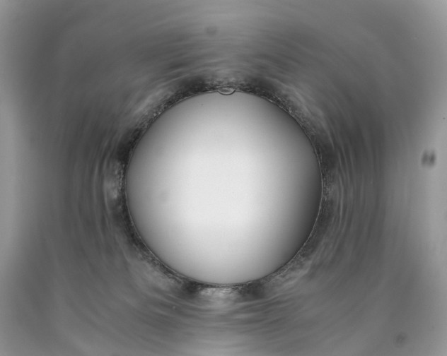 X0000089920133200707201826