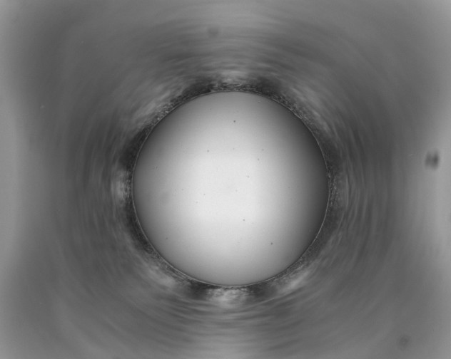 X0000089920135200707201826