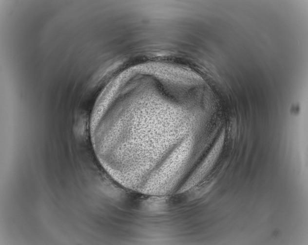 X0000089920138200707201826