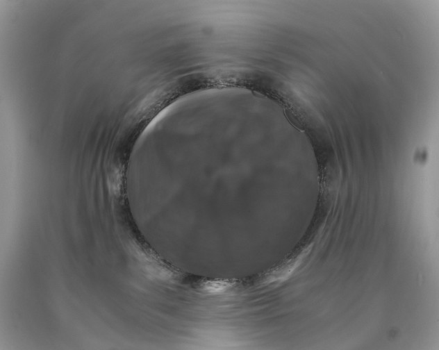 X0000089920139200707201826