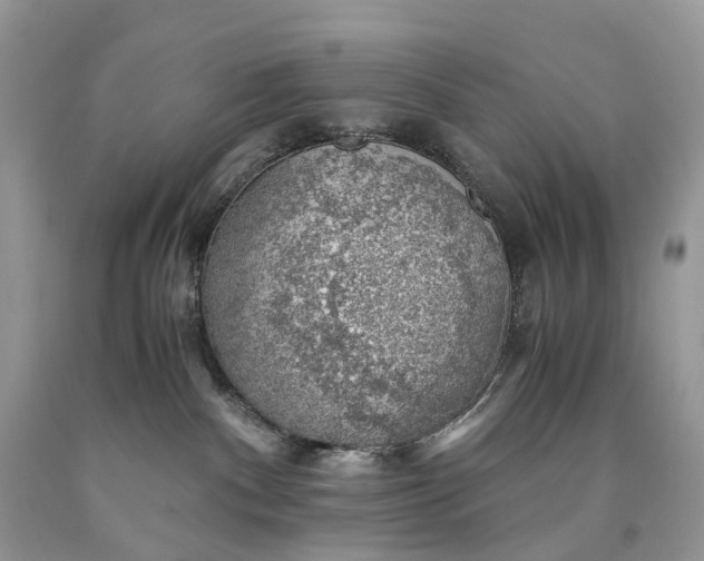 X0000089920140200707201826