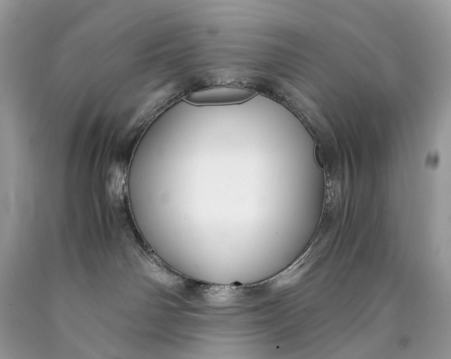 X0000089920142200707201826