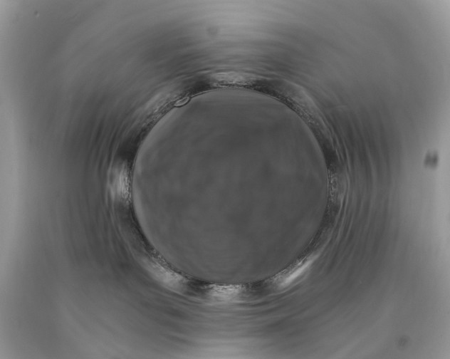 X0000089920143200707201826