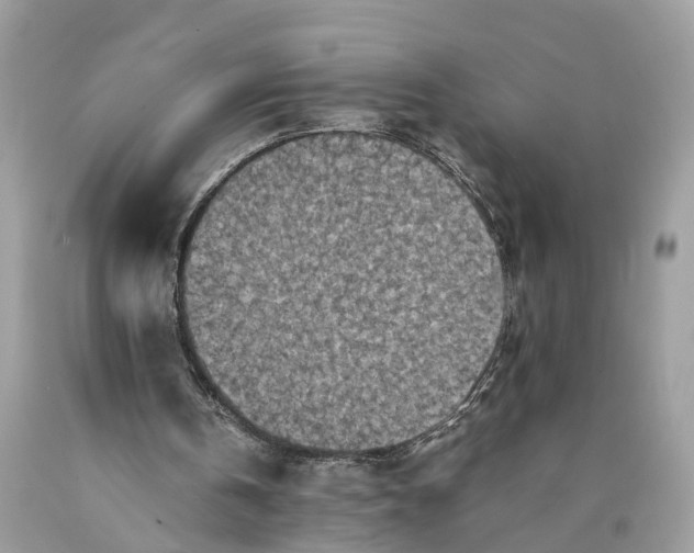 X0000089920146200707201825